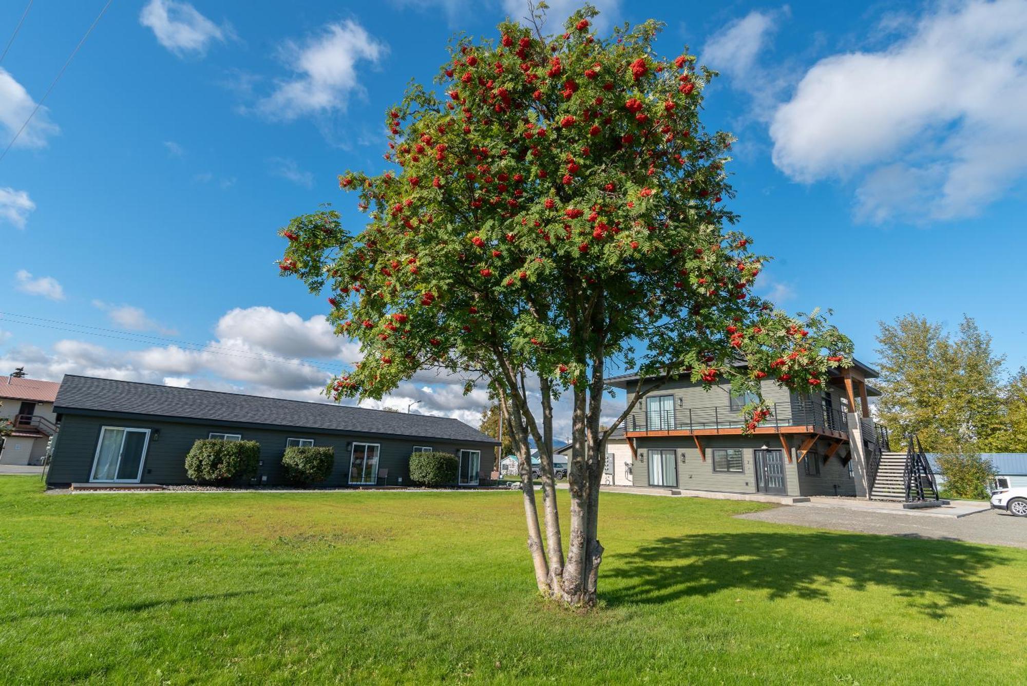 Colony Suites Палмер Экстерьер фото
